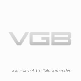 VGB-Richtlinie zur Prüfung von Krananlagen - ebook