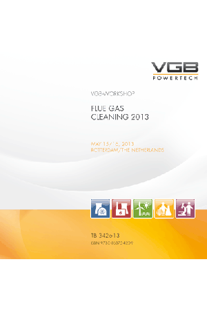 Flue Gas Cleaning 2013 - Print